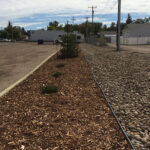 Redcliff Petro Can: Landscaping