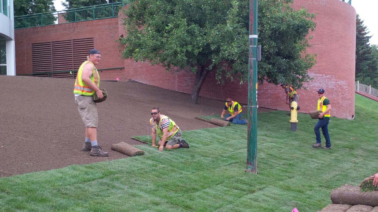 Laying Sod at City Hall in Medicine Hat