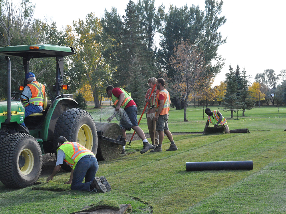 Laying Sod, Connaught Golf Course